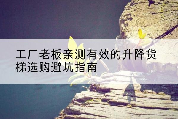 文县升降货梯怎么选-工厂老板亲测有效的升降货梯选购避坑指南