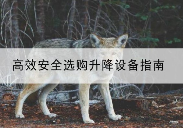 文县升降货梯厂家推荐-*安全选购升降设备指南