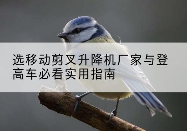 文县电动升降机厂家-选移动剪叉升降机厂家与登高车必看实用指南