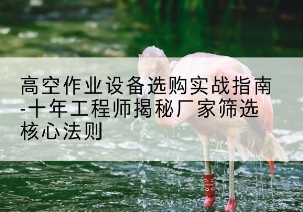 文县剪叉式升降机厂家-高空作业设备选购实战指南-十年工程师揭秘厂家筛选核心法则