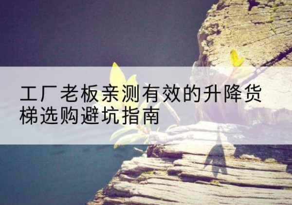 文县升降货梯怎么选-工厂老板亲测有效的升降货梯选购避坑指南